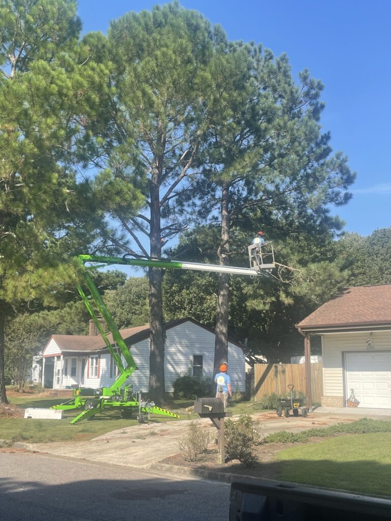 River City Tree Services